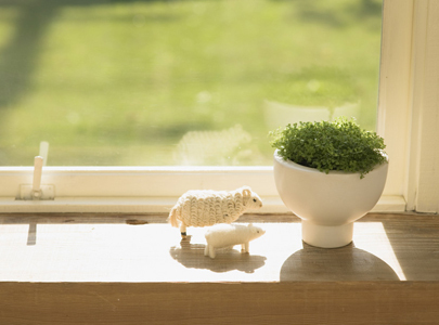 医療法人社団 たかはし脳外科皮フ科医院 副院長